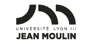 Lyon 3